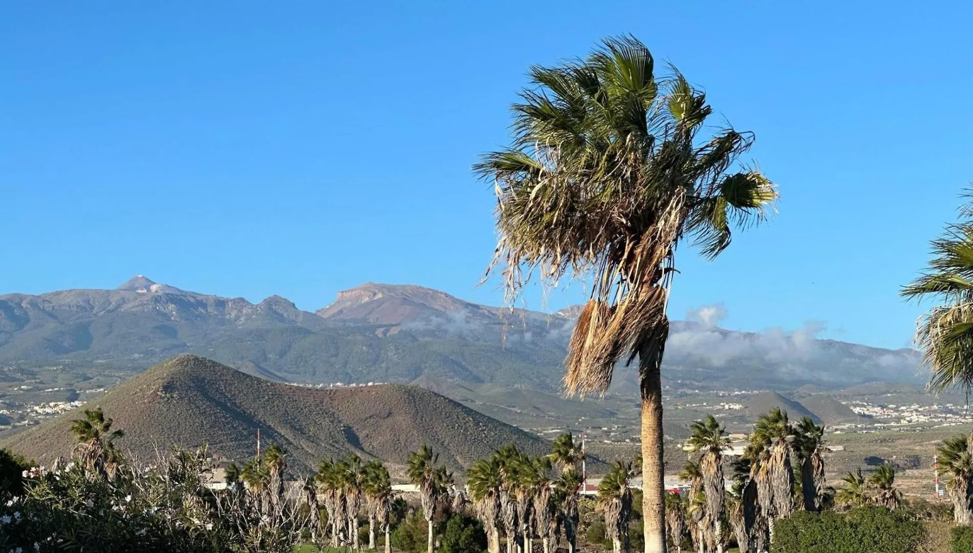 Sunny Daze Golf Del Sur Apartamento San Miguel de Abona