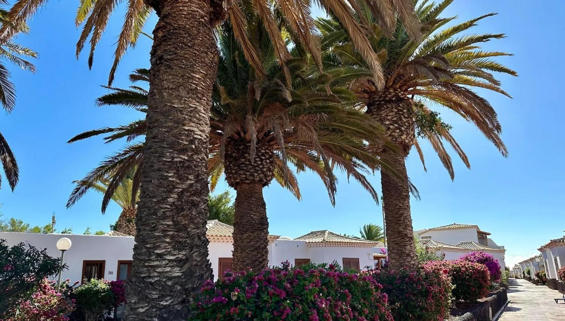 Sunny Daze Golf Del Sur Apartamento San Miguel de Abona Espanha